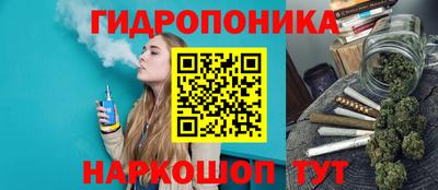 молекула духа Бийск