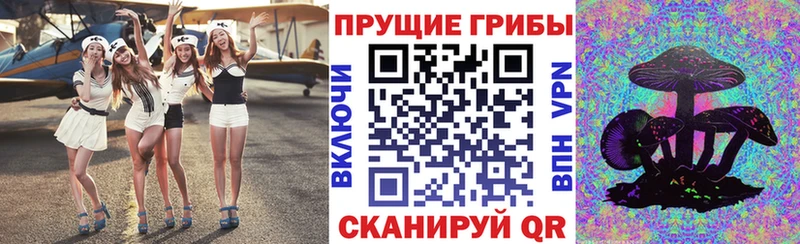 Псилоцибиновые грибы мухоморы  как найти закладки  Дивногорск 