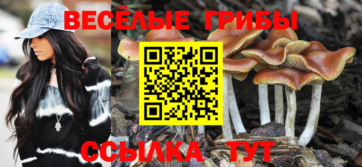 Псилоцибиновые грибы ЛСД  Вход с VPN  Дивногорск 