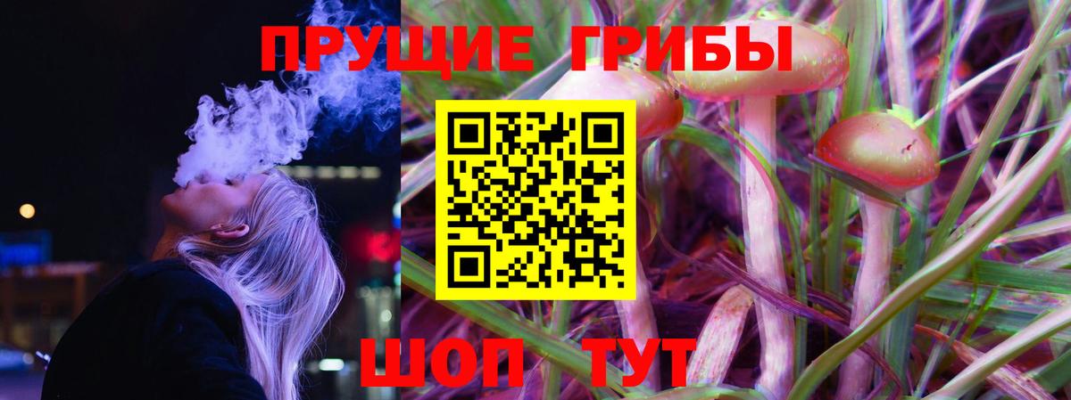 Псилоцибиновые грибы прущие грибы Дивногорск