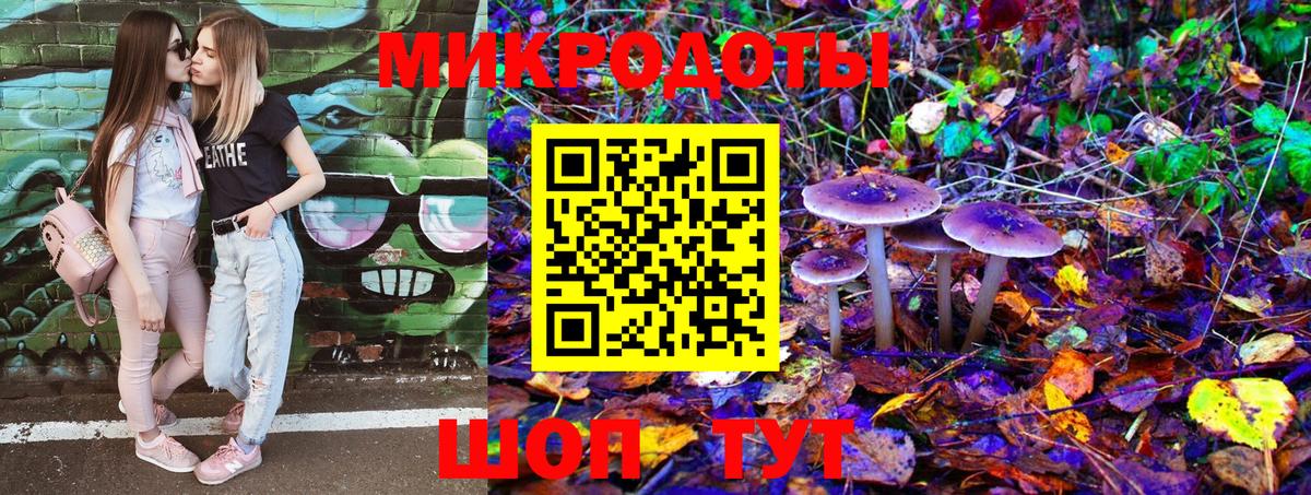 Псилоцибиновые грибы Psilocybine cubensis Дивногорск